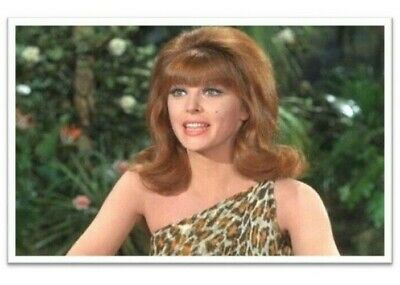 Ginger from Gilligan's Island Blank Meme Template