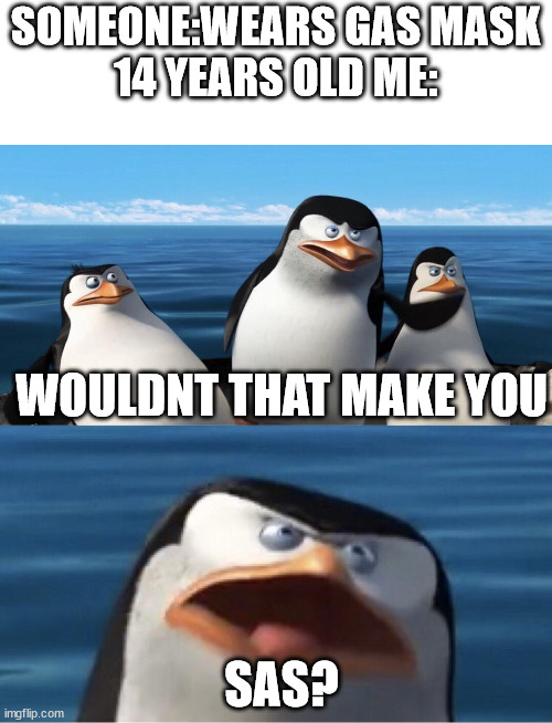 Cs teaches me that | SOMEONE:WEARS GAS MASK
14 YEARS OLD ME:; WOULDNT THAT MAKE YOU; SAS? | image tagged in wouldn't that make you | made w/ Imgflip meme maker