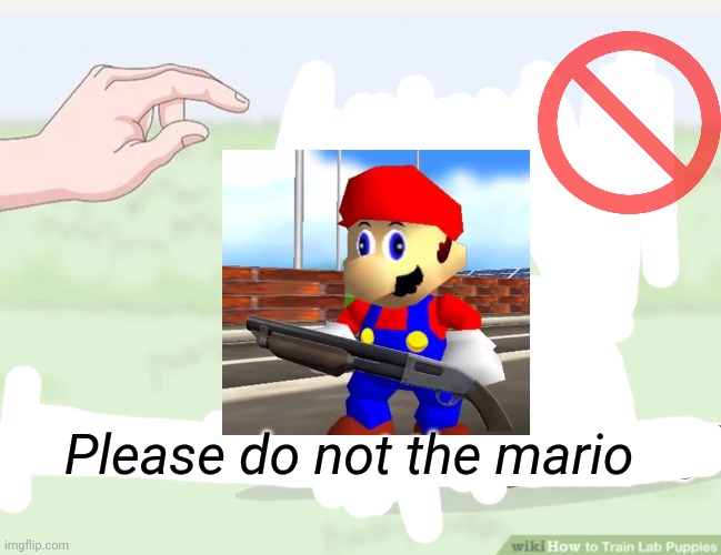 Please do the puppy | Please do not the mario | image tagged in please do the puppy | made w/ Imgflip meme maker