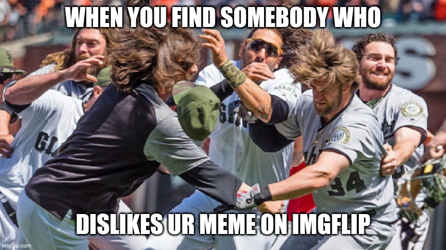 mlb fight  | WHEN YOU FIND SOMEBODY WHO; DISLIKES UR MEME ON IMGFLIP | image tagged in mlb fight | made w/ Imgflip meme maker