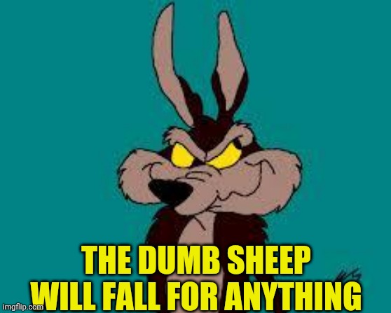 Wiley C. Coyote Idea | THE DUMB SHEEP WILL FALL FOR ANYTHING | image tagged in wiley c coyote idea | made w/ Imgflip meme maker