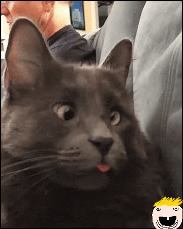 What's So Funny? - Imgflip What's So Funny? - Imgflip