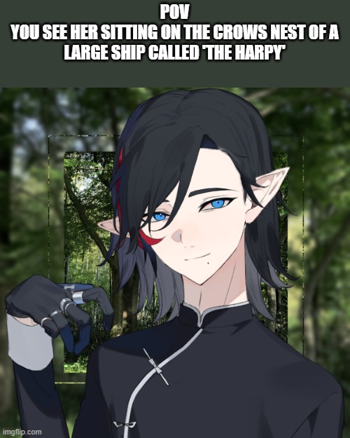Elarethra Vadan | POV
YOU SEE HER SITTING ON THE CROWS NEST OF A LARGE SHIP CALLED 'THE HARPY' | image tagged in pov | made w/ Imgflip meme maker