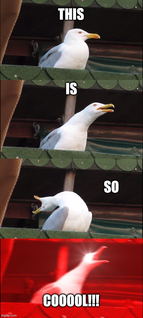 Inhaling Seagull Meme | THIS IS SO COOOOL!!! | image tagged in memes,inhaling seagull | made w/ Imgflip meme maker