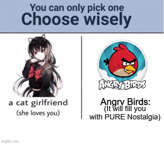 Choose Wisely |  Angry Birds:; (It will fill you with PURE Nostalgia) | image tagged in choose wisely | made w/ Imgflip meme maker