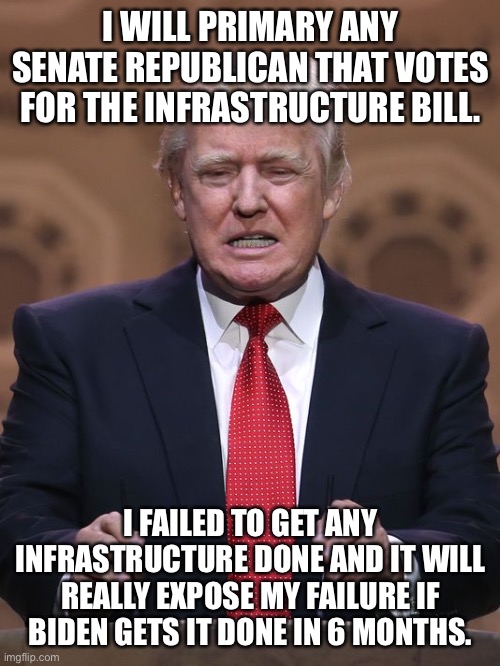 Donald Trump | I WILL PRIMARY ANY SENATE REPUBLICAN THAT VOTES FOR THE INFRASTRUCTURE BILL. I FAILED TO GET ANY INFRASTRUCTURE DONE AND IT WILL REALLY EXPOSE MY FAILURE IF BIDEN GETS IT DONE IN 6 MONTHS. | image tagged in donald trump | made w/ Imgflip meme maker