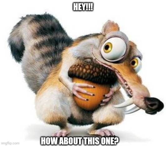 HEY!!! HOW ABOUT THIS ONE? | image tagged in scrat weekend ice age | made w/ Imgflip meme maker