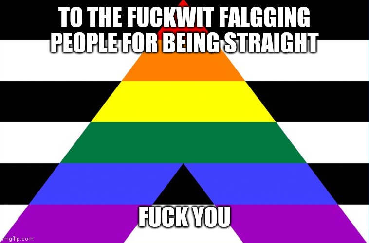 Straight Ally Flag | TO THE FUCKWIT FALGGING PEOPLE FOR BEING STRAIGHT; FUCK YOU | image tagged in straight ally flag | made w/ Imgflip meme maker