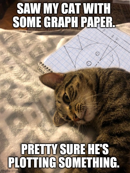 My cat is plotting something. | SAW MY CAT WITH SOME GRAPH PAPER. PRETTY SURE HE'S PLOTTING SOMETHING. | image tagged in cat plotting | made w/ Imgflip meme maker