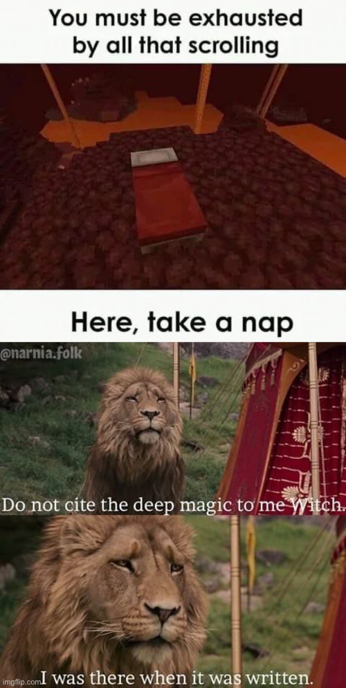 Look around ya, your surrounded by netherack | image tagged in narnia magic | made w/ Imgflip meme maker