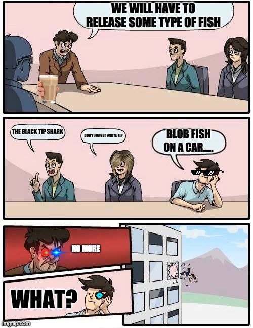 Boardroom Meeting Suggestion | WE WILL HAVE TO RELEASE SOME TYPE OF FISH; THE BLACK TIP SHARK; BLOB FISH ON A CAR..... DON'T FORGET WHITE TIP; NO MORE; WHAT? | image tagged in memes,boardroom meeting suggestion | made w/ Imgflip meme maker