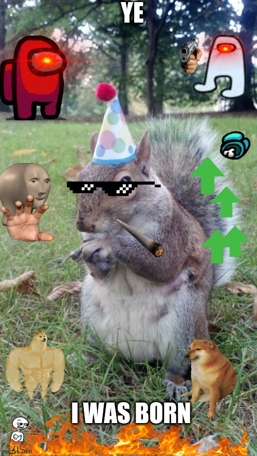 Mhm yes |  YE; I WAS BORN | image tagged in memes,super birthday squirrel | made w/ Imgflip meme maker