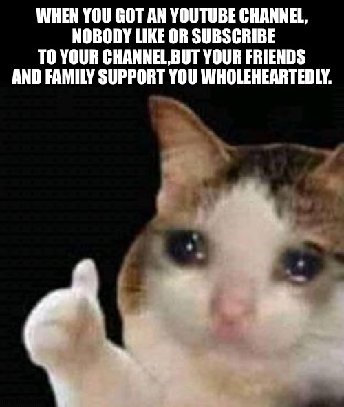 I love my friends | WHEN YOU GOT AN YOUTUBE CHANNEL,
 NOBODY LIKE OR SUBSCRIBE TO YOUR CHANNEL,BUT YOUR FRIENDS AND FAMILY SUPPORT YOU WHOLEHEARTEDLY. | image tagged in sad thumbs up cat | made w/ Imgflip meme maker