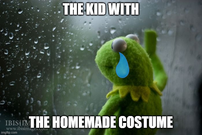 kermit window | THE KID WITH THE HOMEMADE COSTUME | image tagged in kermit window | made w/ Imgflip meme maker