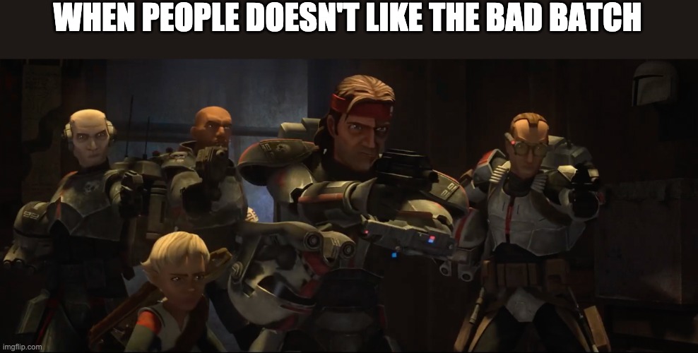 WHEN PEOPLE DOESN'T LIKE THE BAD BATCH | image tagged in the bad batch,memes | made w/ Imgflip meme maker