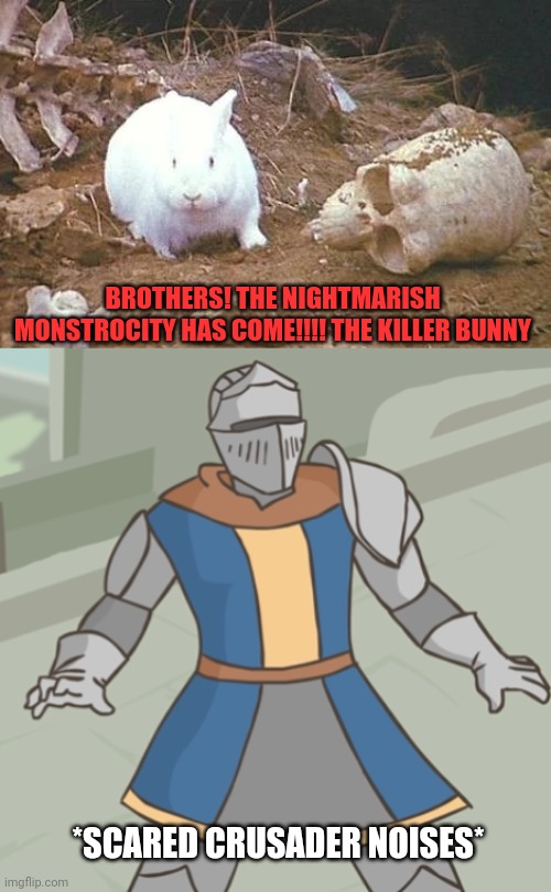 The creature which the ancestral crusaders can't defeat | BROTHERS! THE NIGHTMARISH MONSTROCITY HAS COME!!!! THE KILLER BUNNY; *SCARED CRUSADER NOISES* | image tagged in shocked crusader,crusader | made w/ Imgflip meme maker