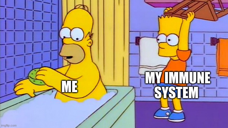 bart hitting homer with a chair | MY IMMUNE SYSTEM; ME | image tagged in bart hitting homer with a chair | made w/ Imgflip meme maker