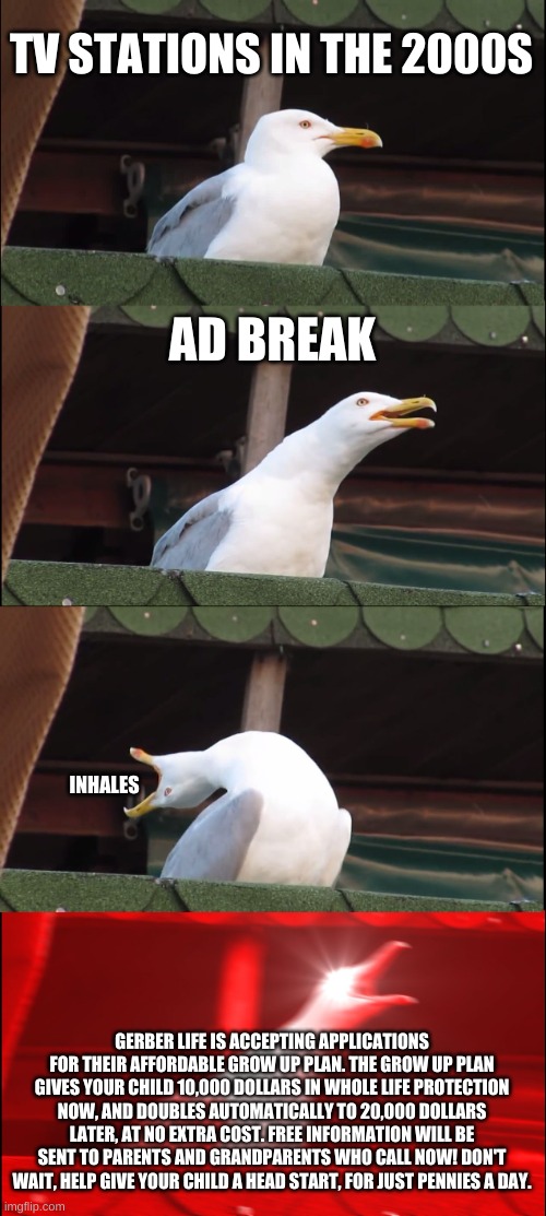 Inhaling Seagull | TV STATIONS IN THE 2000S; AD BREAK; INHALES; GERBER LIFE IS ACCEPTING APPLICATIONS FOR THEIR AFFORDABLE GROW UP PLAN. THE GROW UP PLAN GIVES YOUR CHILD 10,000 DOLLARS IN WHOLE LIFE PROTECTION NOW, AND DOUBLES AUTOMATICALLY TO 20,000 DOLLARS LATER, AT NO EXTRA COST. FREE INFORMATION WILL BE SENT TO PARENTS AND GRANDPARENTS WHO CALL NOW! DON'T WAIT, HELP GIVE YOUR CHILD A HEAD START, FOR JUST PENNIES A DAY. | image tagged in memes,inhaling seagull | made w/ Imgflip meme maker