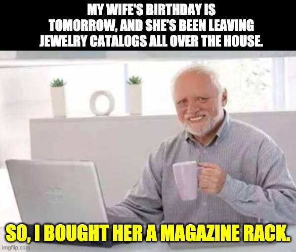 Birthday | MY WIFE'S BIRTHDAY IS TOMORROW, AND SHE'S BEEN LEAVING JEWELRY CATALOGS ALL OVER THE HOUSE. SO, I BOUGHT HER A MAGAZINE RACK. | image tagged in harold | made w/ Imgflip meme maker