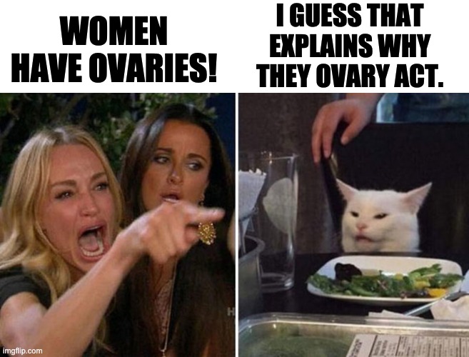 Ovaries | I GUESS THAT EXPLAINS WHY THEY OVARY ACT. WOMEN HAVE OVARIES! | image tagged in woman yelling at white cat | made w/ Imgflip meme maker