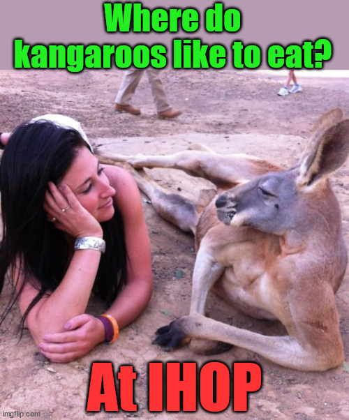 Where do kangaroos like to eat? At IHOP | image tagged in eyeroll | made w/ Imgflip meme maker