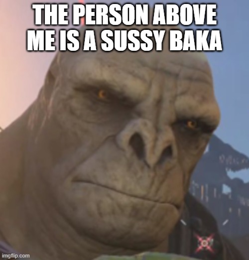 Craig | THE PERSON ABOVE ME IS A SUSSY BAKA | image tagged in craig | made w/ Imgflip meme maker