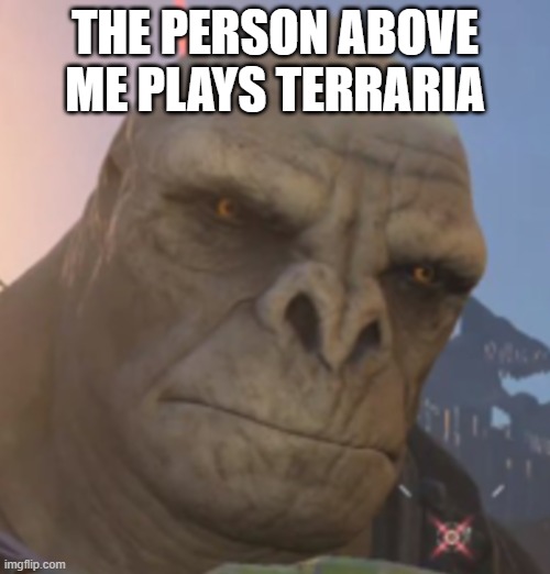 Craig | THE PERSON ABOVE ME PLAYS TERRARIA | image tagged in craig | made w/ Imgflip meme maker
