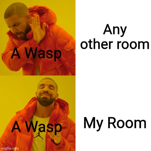 Why my room | Any other room; A Wasp; My Room; A Wasp | image tagged in memes,drake hotline bling | made w/ Imgflip meme maker