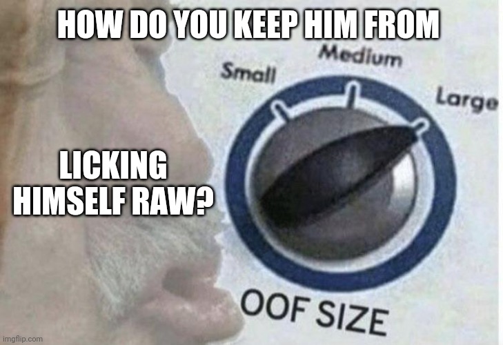 Oof size large | HOW DO YOU KEEP HIM FROM LICKING HIMSELF RAW? | image tagged in oof size large | made w/ Imgflip meme maker