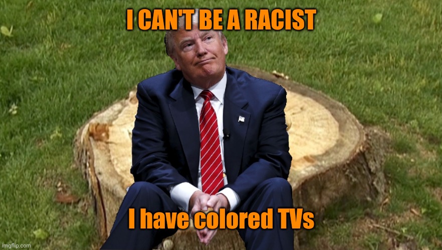 Trump on a stump | I CAN'T BE A RACIST; I have colored TVs | image tagged in trump on a stump | made w/ Imgflip meme maker
