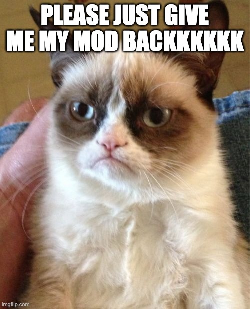 Grumpy Cat Meme | PLEASE JUST GIVE ME MY MOD BACKKKKKK | image tagged in memes,grumpy cat | made w/ Imgflip meme maker
