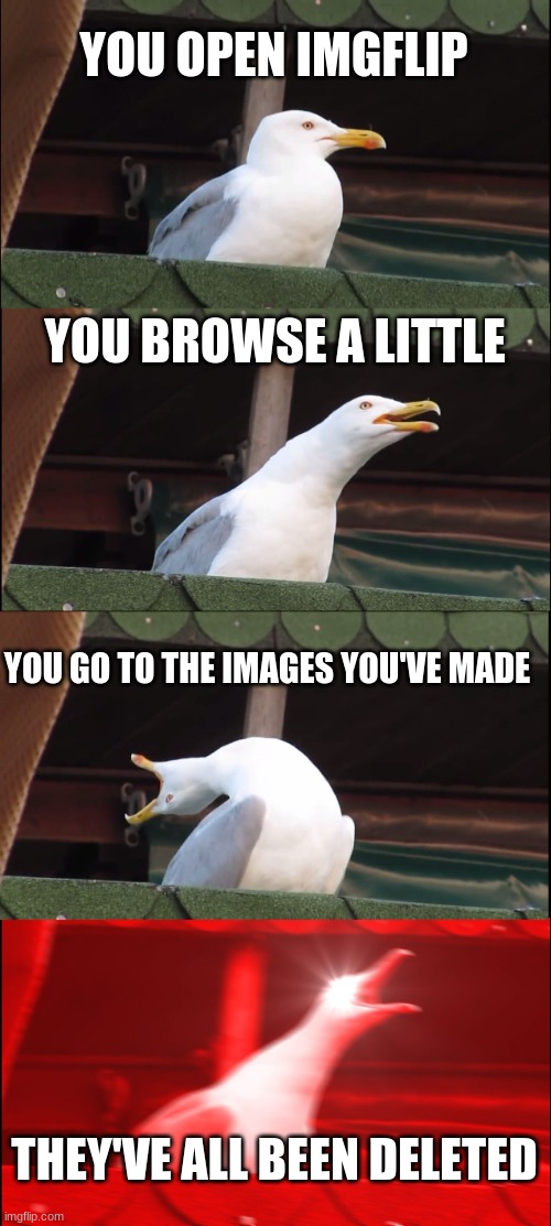 Oh no... | YOU OPEN IMGFLIP; YOU BROWSE A LITTLE; YOU GO TO THE IMAGES YOU'VE MADE; THEY'VE ALL BEEN DELETED | image tagged in memes,inhaling seagull,imgflip | made w/ Imgflip meme maker