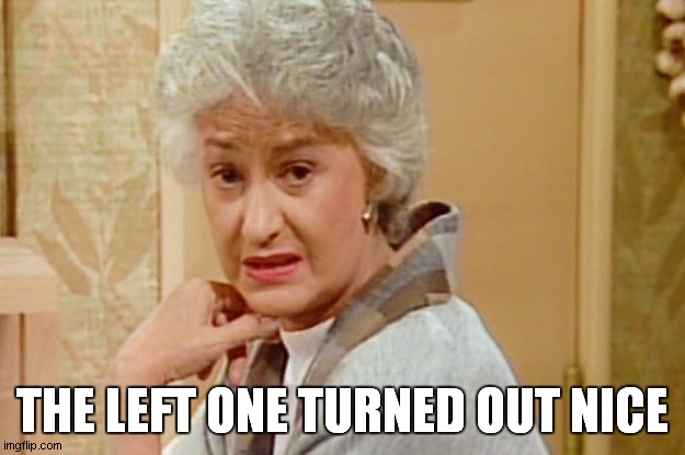 the left one | THE LEFT ONE TURNED OUT NICE | image tagged in left,golden girls | made w/ Imgflip meme maker