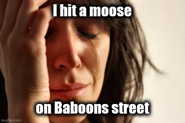 First World Problems Meme | I hit a moose on Baboons street | image tagged in memes,first world problems | made w/ Imgflip meme maker