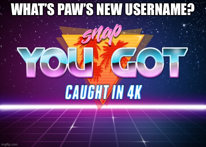 caught in 4k | WHAT’S PAW’S NEW USERNAME? | image tagged in caught in 4k | made w/ Imgflip meme maker