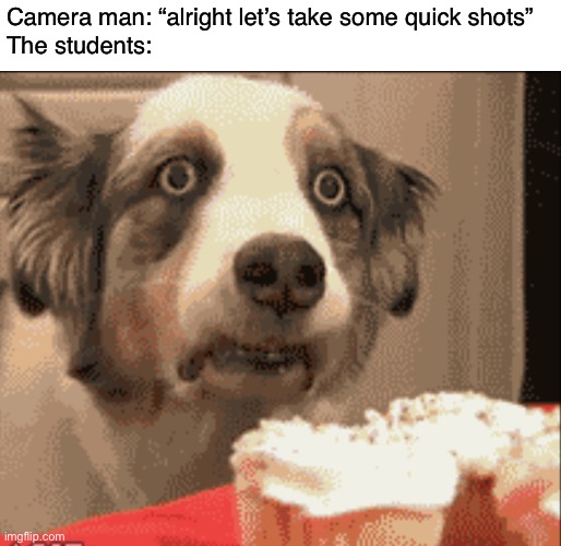 P   T   S   D | Camera man: “alright let’s take some quick shots”
The students: | image tagged in ptsd dog,funny,memes,school shooting,ptsd | made w/ Imgflip meme maker