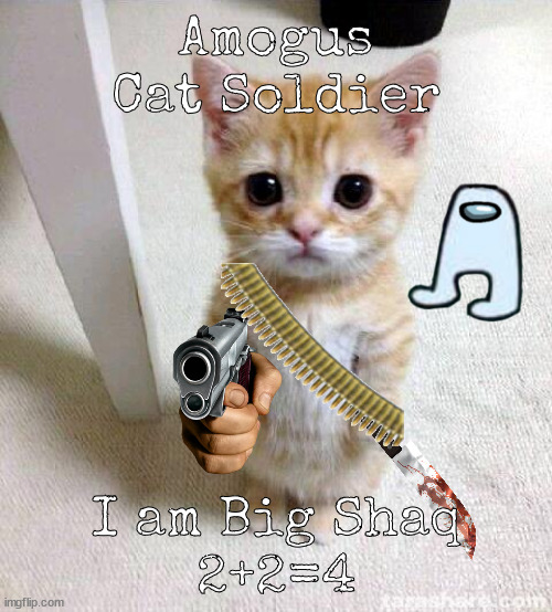 Asznee Cat | Amogus
Cat Soldier; I am Big Shaq
2+2=4 | image tagged in memes,cute cat | made w/ Imgflip meme maker