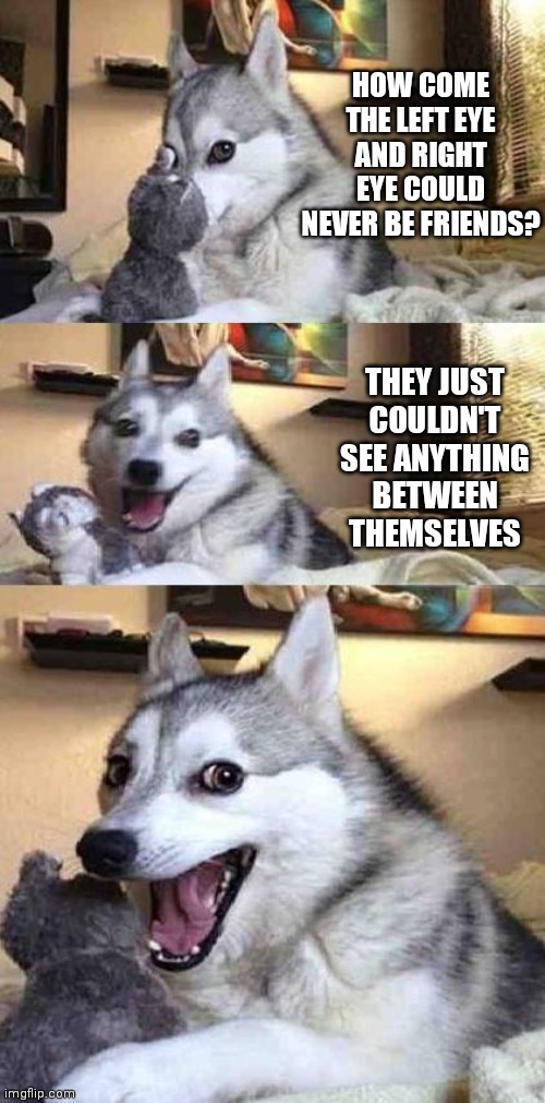 Dog Joke | HOW COME THE LEFT EYE AND RIGHT EYE COULD NEVER BE FRIENDS? THEY JUST COULDN'T SEE ANYTHING BETWEEN THEMSELVES | image tagged in dog joke | made w/ Imgflip meme maker