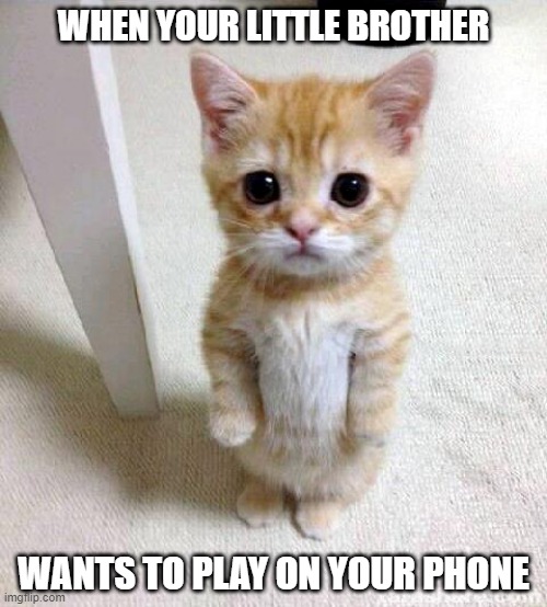When your little brother wants to play on your phone |  WHEN YOUR LITTLE BROTHER; WANTS TO PLAY ON YOUR PHONE | image tagged in memes,cute cat,little brother,video games,phone | made w/ Imgflip meme maker