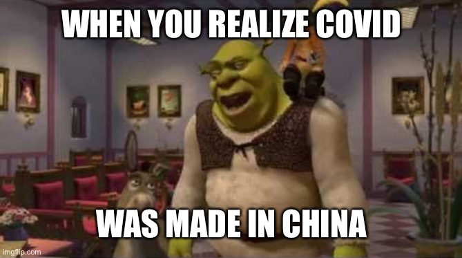 They don't even have dental | WHEN YOU REALIZE COVID WAS MADE IN CHINA | image tagged in they don't even have dental | made w/ Imgflip meme maker