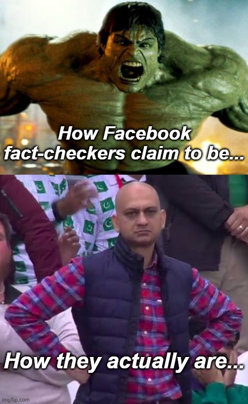 How Facebook fact-checkers claim to be... How they actually are... | image tagged in hulk,disappointed man | made w/ Imgflip meme maker