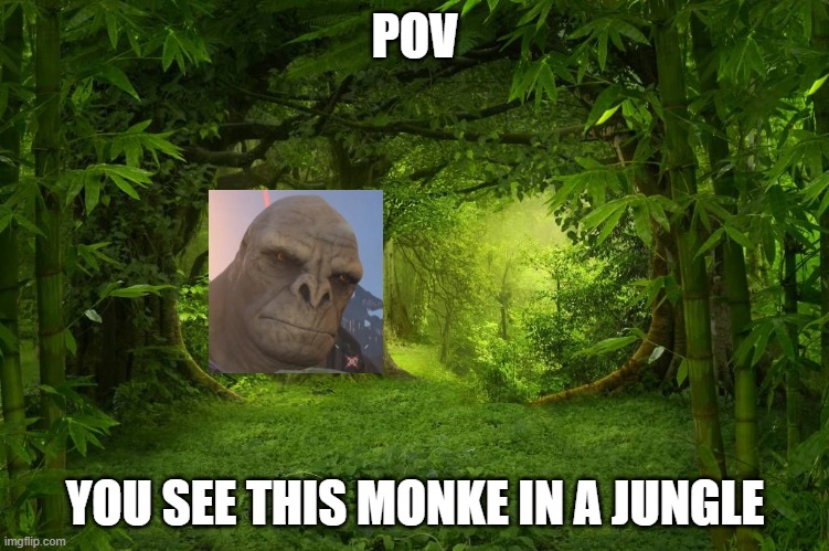 POV; YOU SEE THIS MONKE IN A JUNGLE | made w/ Imgflip meme maker