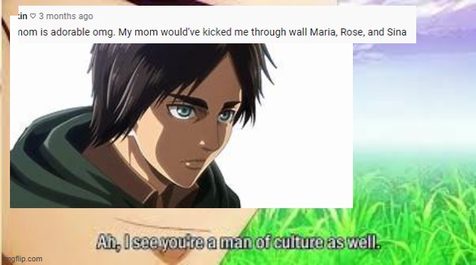 A man of culture | image tagged in aot | made w/ Imgflip meme maker