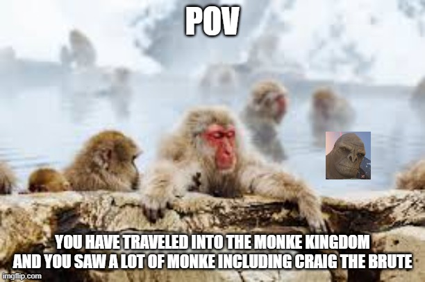 POV; YOU HAVE TRAVELED INTO THE MONKE KINGDOM AND YOU SAW A LOT OF MONKE INCLUDING CRAIG THE BRUTE | made w/ Imgflip meme maker