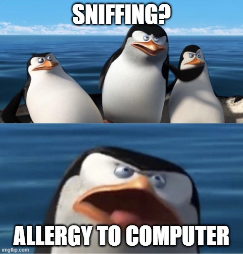 Non ti renderebbe | SNIFFING? ALLERGY TO COMPUTER | image tagged in non ti renderebbe | made w/ Imgflip meme maker