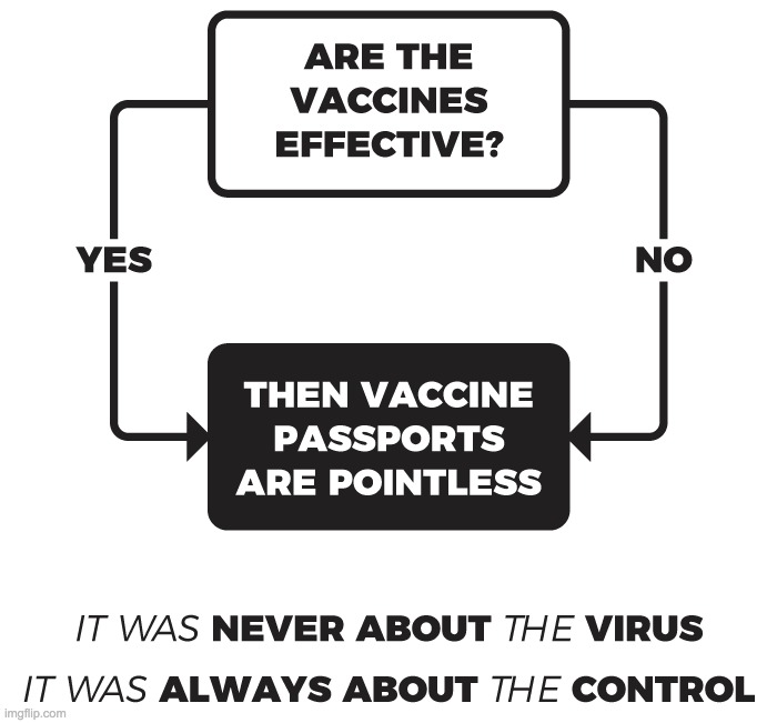 No to vaccine passports | image tagged in covid-19,vaccines,passport | made w/ Imgflip meme maker