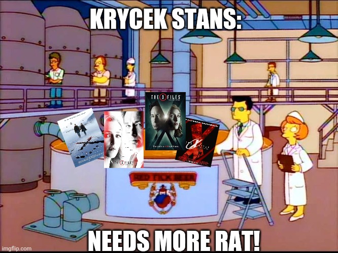Krycek deserved better | KRYCEK STANS:; NEEDS MORE RAT! | image tagged in needs more dog,the simpsons,xfiles,fox mulder the x files | made w/ Imgflip meme maker