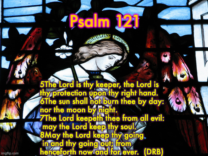 Psalm 121 | Psalm 121; 5The Lord is thy keeper, the Lord is 
thy protection upon thy right hand.

6The sun shall not burn thee by day: 
nor the moon by night.

7The Lord keepeth thee from all evil:
 may the Lord keep thy soul.

8May the Lord keep thy going
 in and thy going out; from 
henceforth now and for ever.  (DRB) | image tagged in stain glass angel,archangelgabriel | made w/ Imgflip meme maker