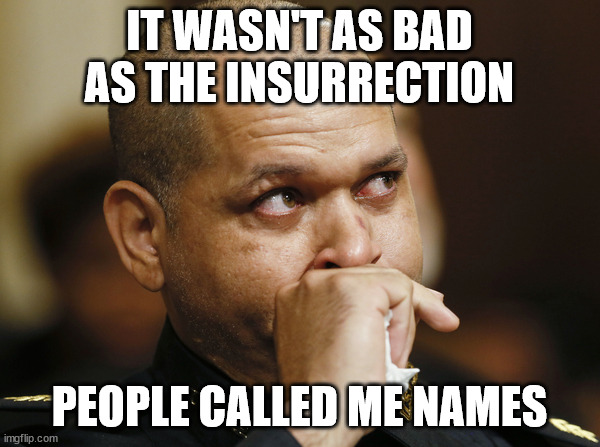 IT WASN'T AS BAD AS THE INSURRECTION PEOPLE CALLED ME NAMES | made w/ Imgflip meme maker