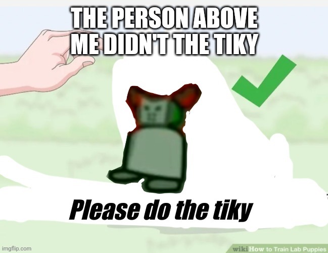 THE PERSON ABOVE ME DIDN'T THE TIKY | made w/ Imgflip meme maker